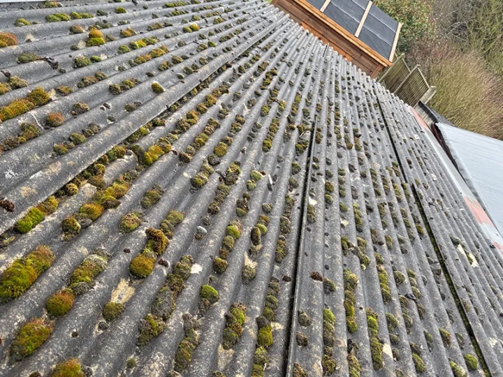 Flat Roofing Norfolk